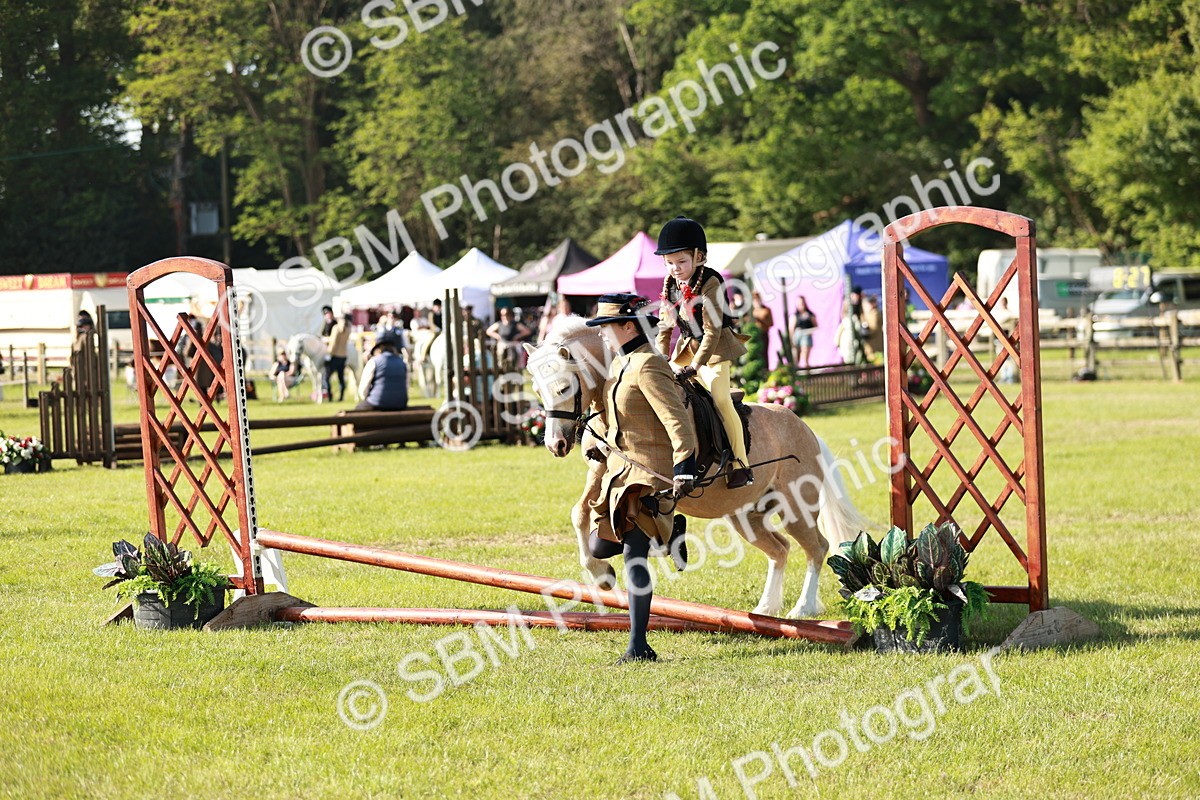 SBM_11248 - Class 106-107 - BSPS LIHS Working Sports Pony
