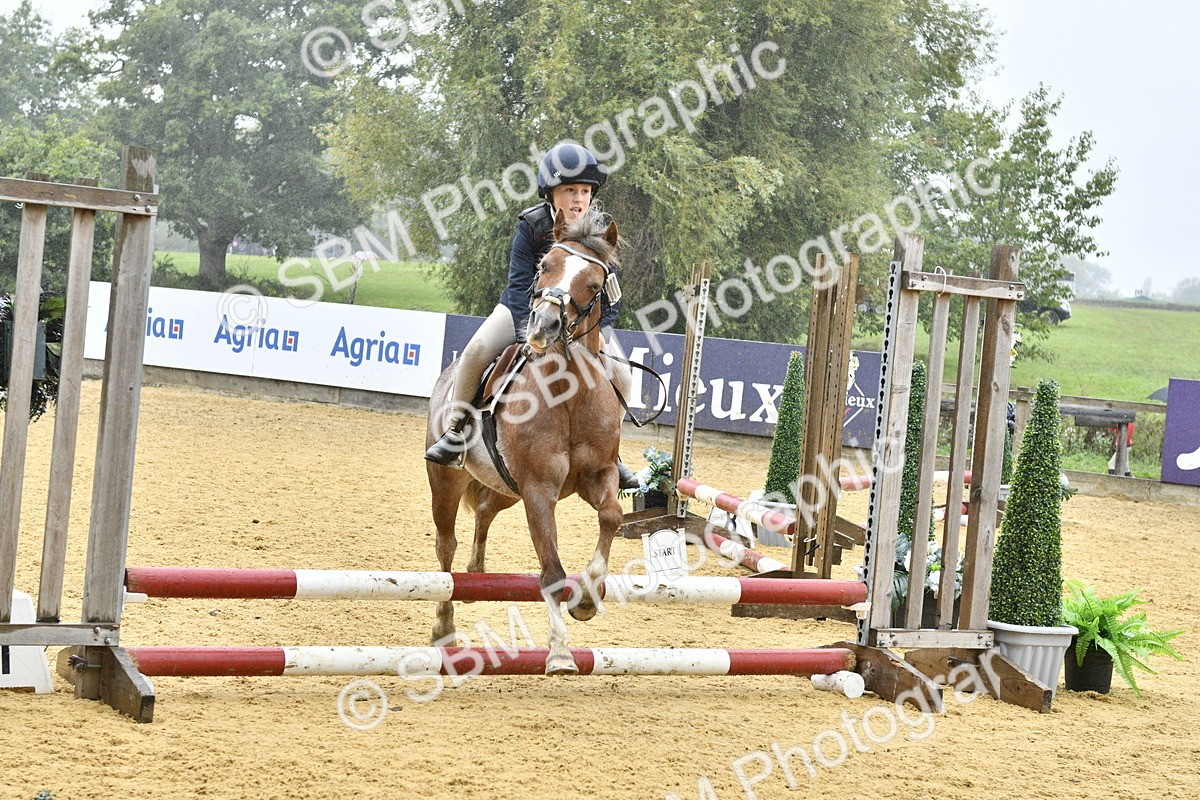 SBM_70972 - J3 - Mini Tour Junior Pony 40cm championship