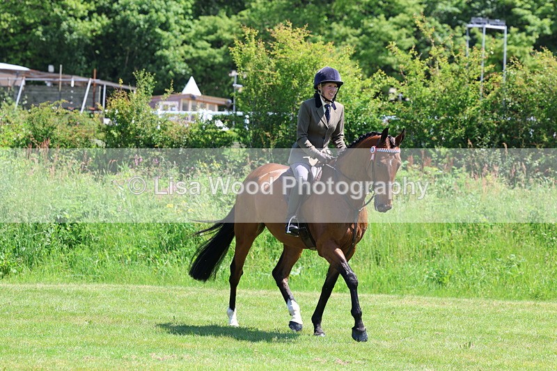 3E7A7521 - Class 31: Working Hunter Cob/Riding Horse