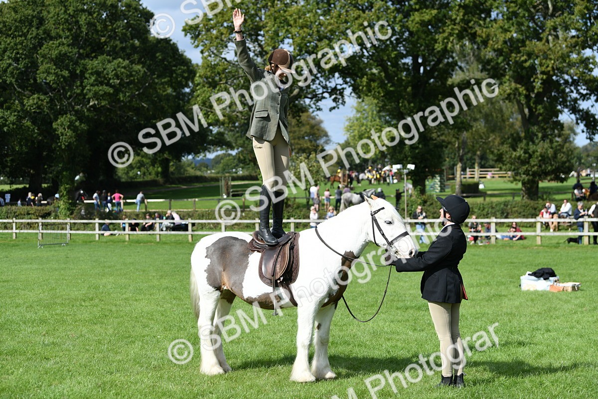 SBM_47035 - S12 - Family Horse & Pony