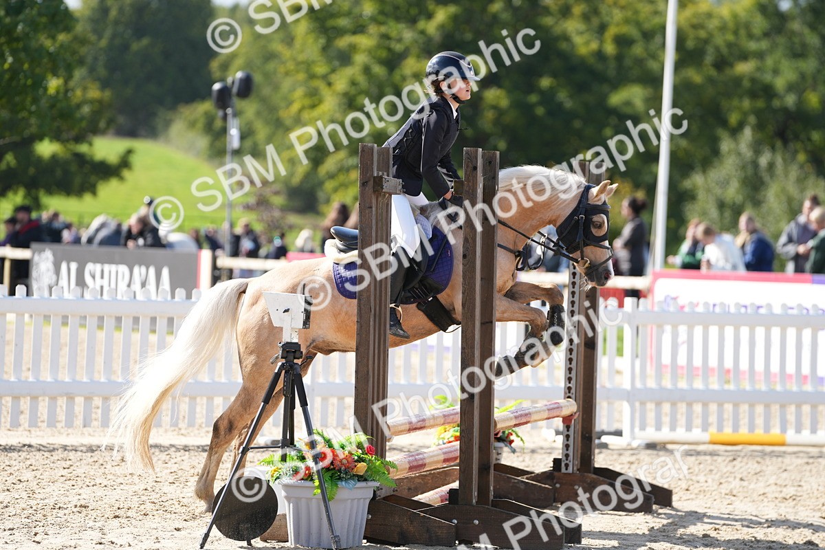 SBM_38486 - J6 - Junior Pony 55cm Championship
