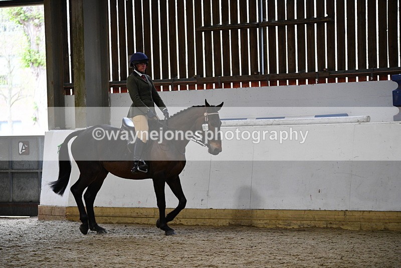 WJ5_7987 - Class 13 Ridden Part Breed