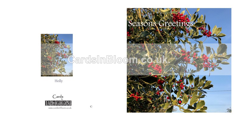 04 Holly Berries - Christmas cards