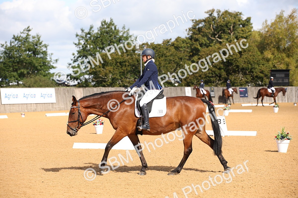 SBM_04208 - D2 Small Tour Championship Intro C