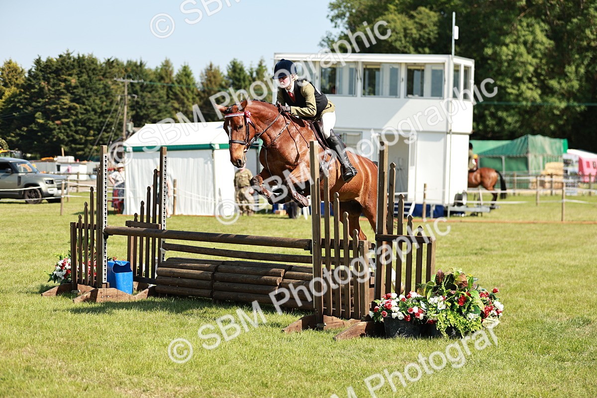 SBM_18808 - Class 114 - RIHS & SEIB Open Working Show Horse