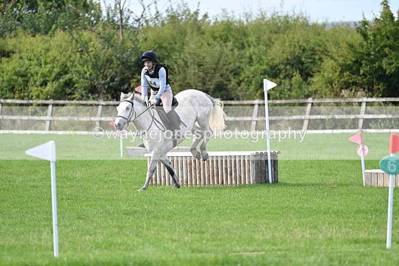 WJ7_8462 - 60cm Pairs