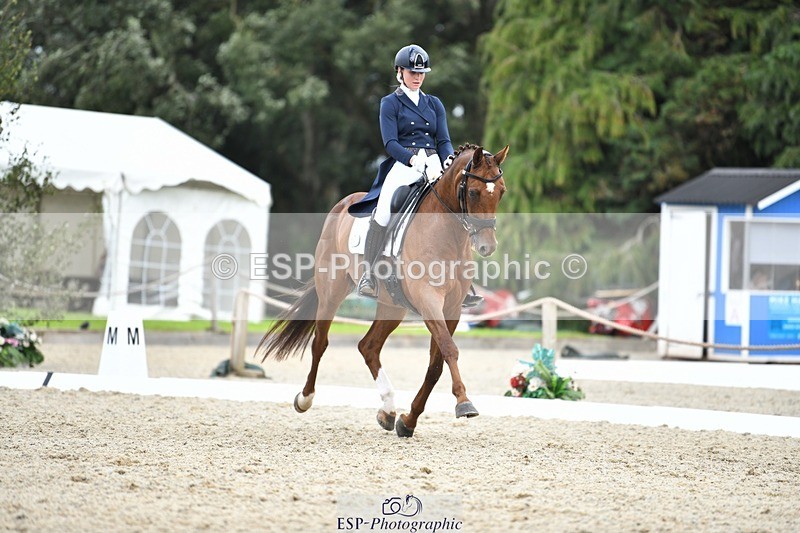 230812-140718-04601 - Cls 7 FEI PSG Bronze