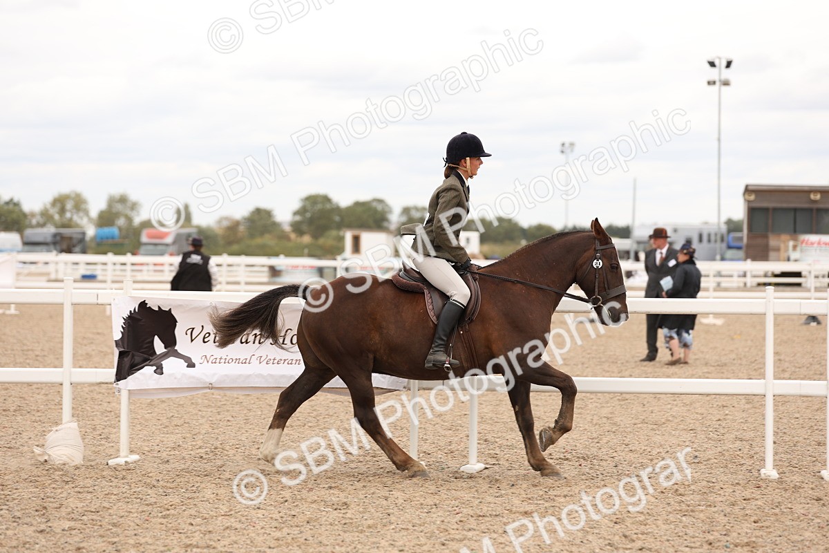 SBM_19548 - Class 215 - Ridden Show cob