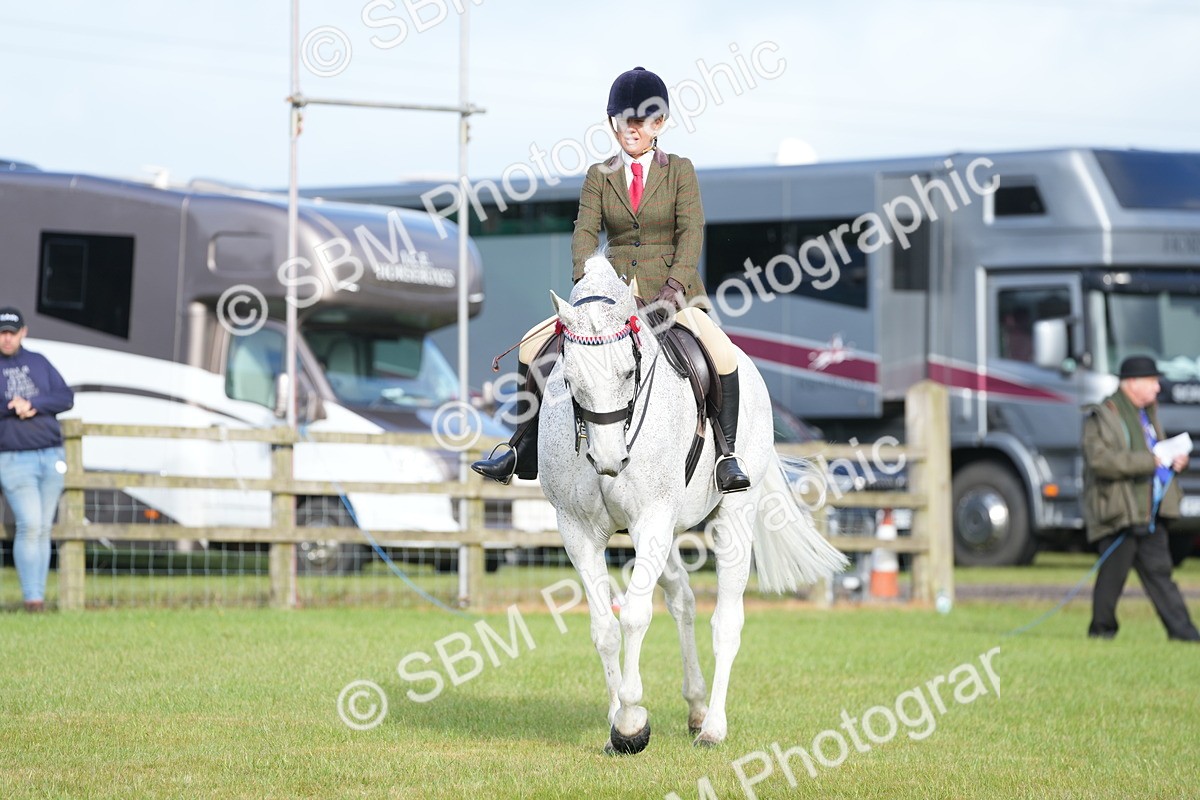 SBM_10478 - Class 97-98 - LIHS BSHA Rising Star Working Show Horse Hunter