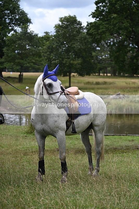 WJ7_4012 - Time at Water 12:52 to 13:22