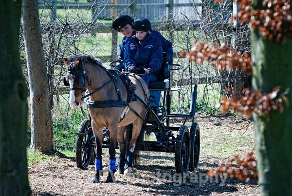 _DSC0100sml - Ashfields Carriage & Polo Club