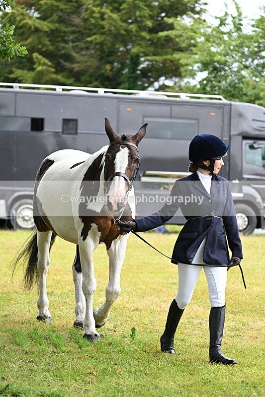 WJ7_6131 - Class 4a Prettiest Mare over 14hh
