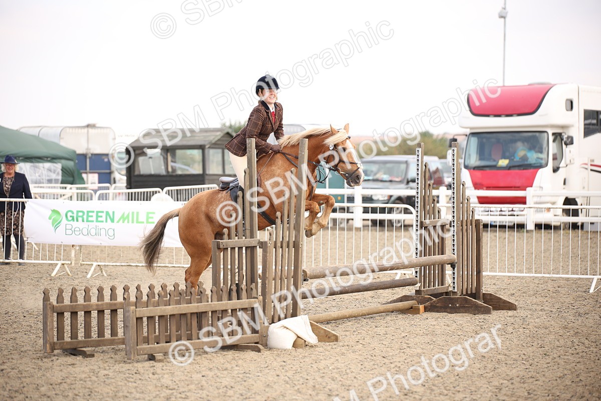 SBM_15996 - Class 408b - Working Veteran 70cm (20+)