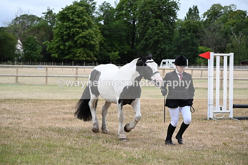 WJ6_4365 - Class 10 Coloured In-hand