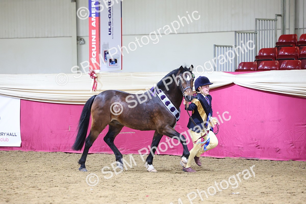SBM_18597 - Class B Junior Champ 11-16 years