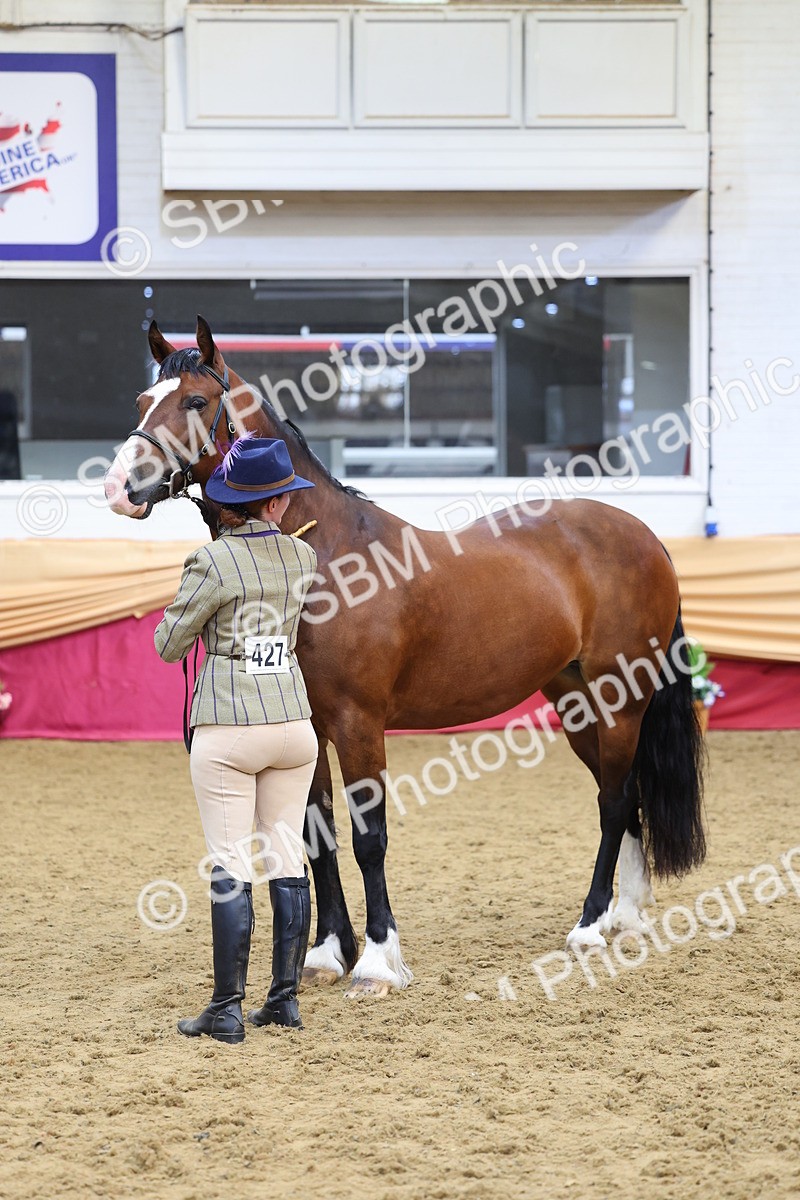 SBM_22875 - Class 903 - Supreme Final - IH Pre Vet