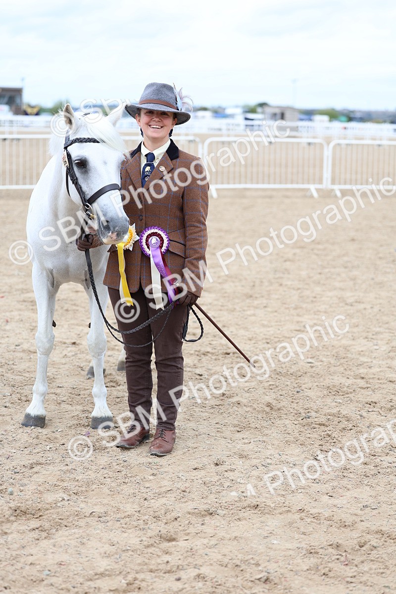 SBM_05990 - Class 29 - IH Veteran Pony