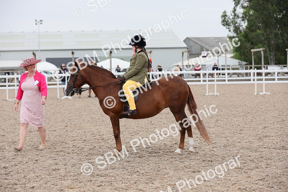 SBM_18159 - Class 316 Best Pony/Rider Combination