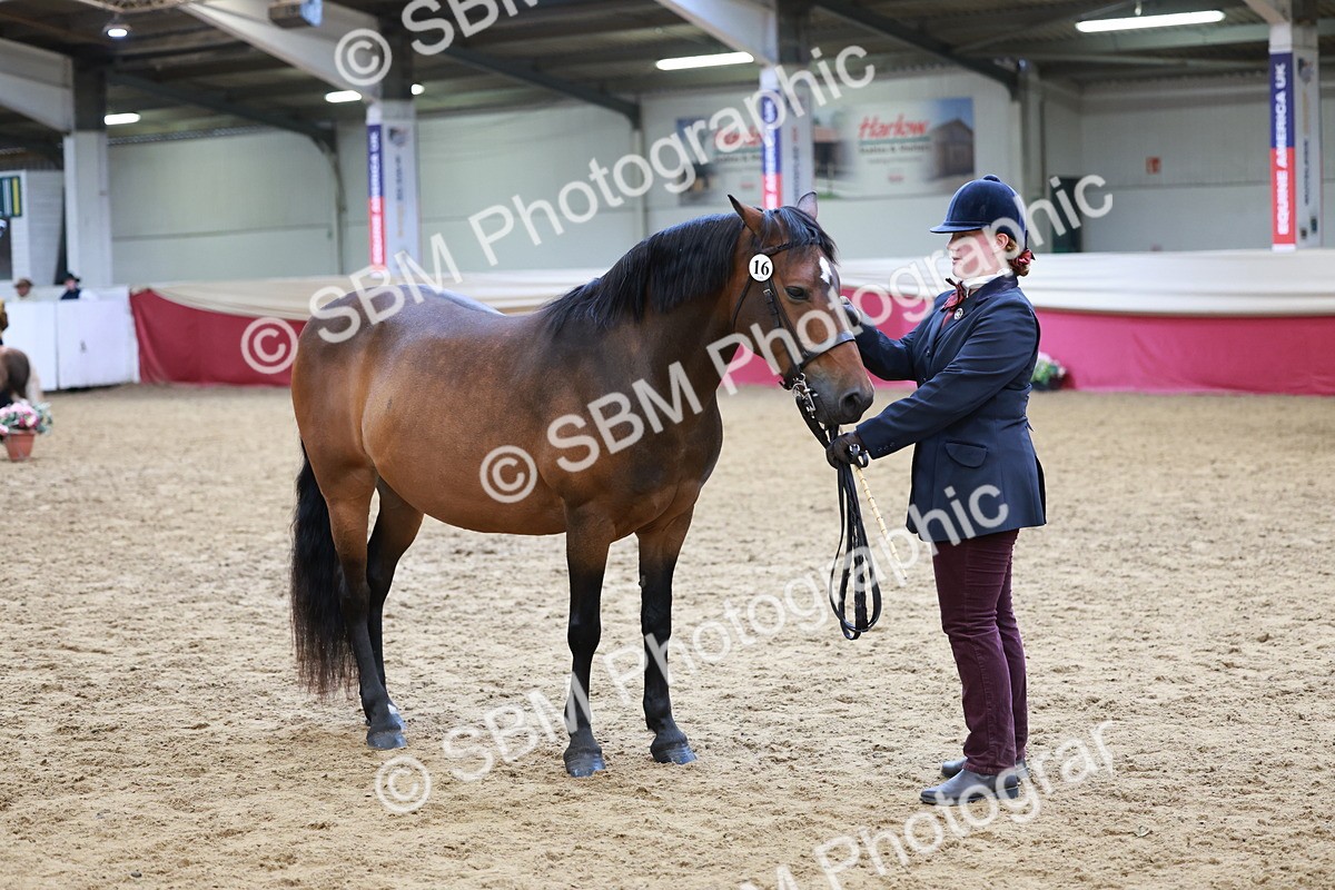 SBM_17347 - Class 951 - M&M IH Supreme Final