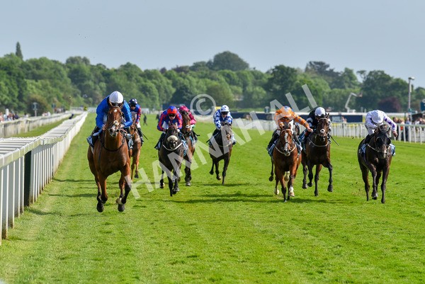 270523-Race 7-Shining Blue-4662 - Race 7 5.00pm Reg Bond Always And Forever Handicap