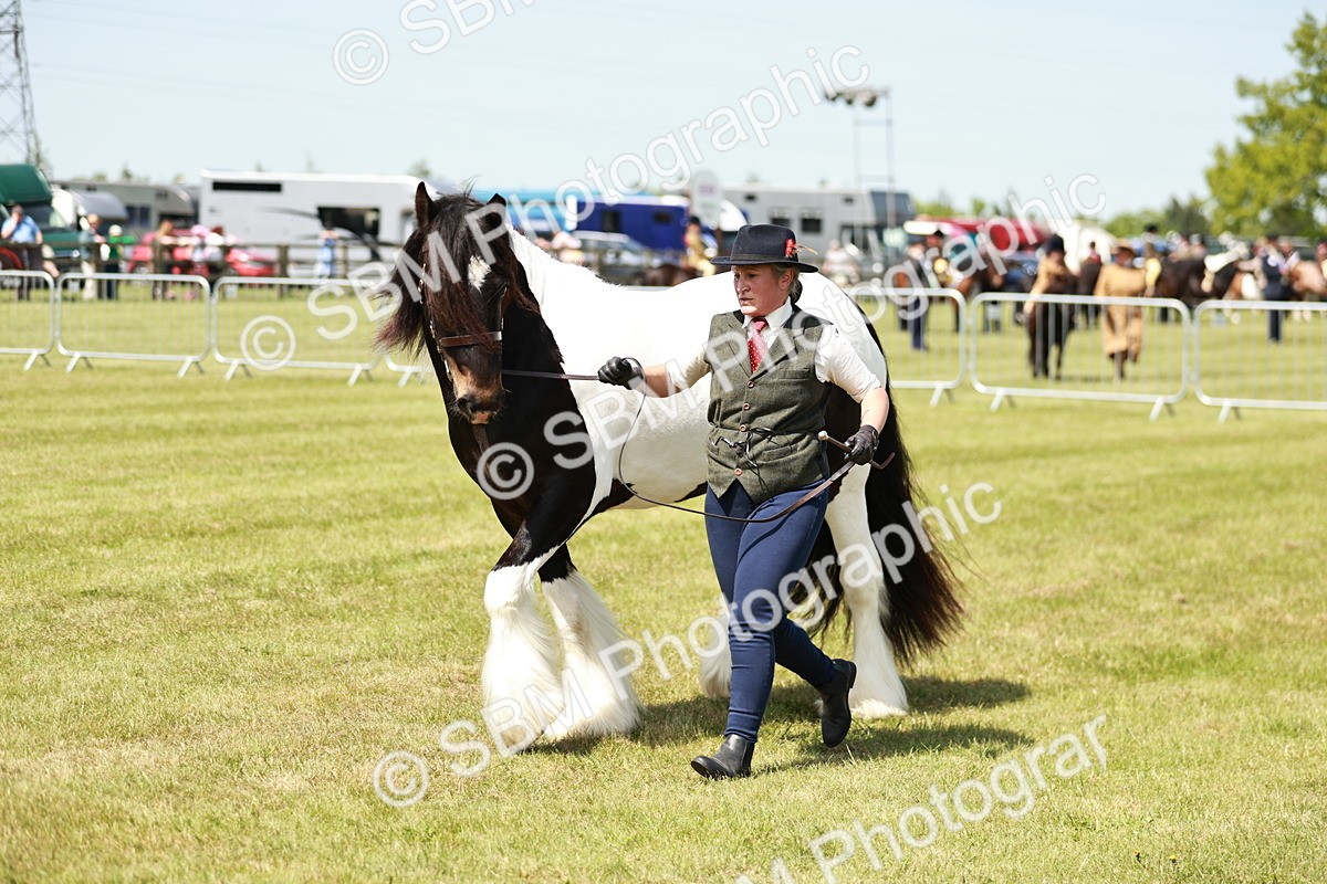 SBM_04176 - Class 39-40 - BSPA Coloured In Hand