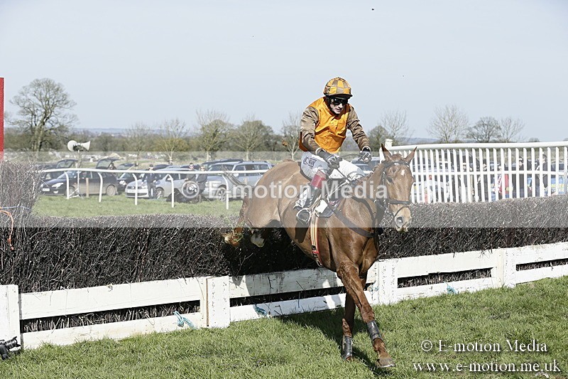 PtP 260317 288 - Mendip Farmers Point-to-Point Ston Easton 26/03/17
