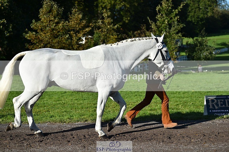 231022-103318-22555 - 459-CEIDE.HUMPHRY-Helen.Hickson-TrotUp+SJ
