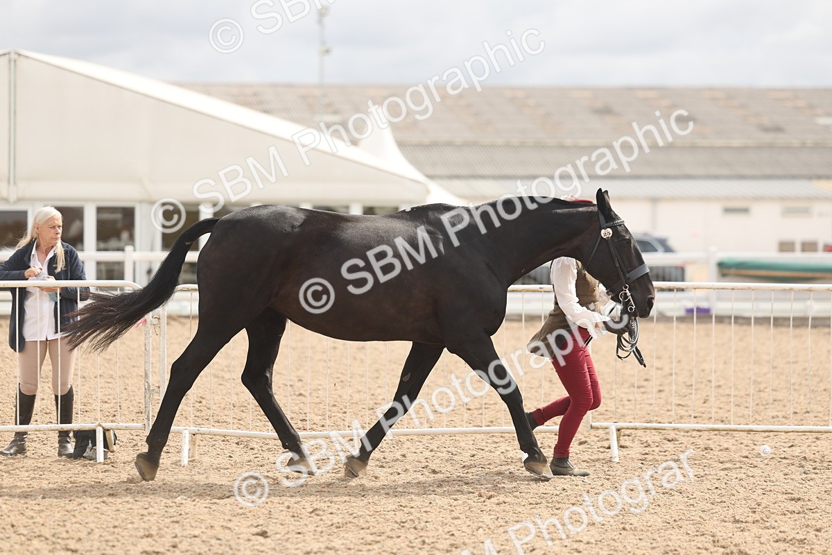 SBM_04922 - Class 20 - IH Veteran