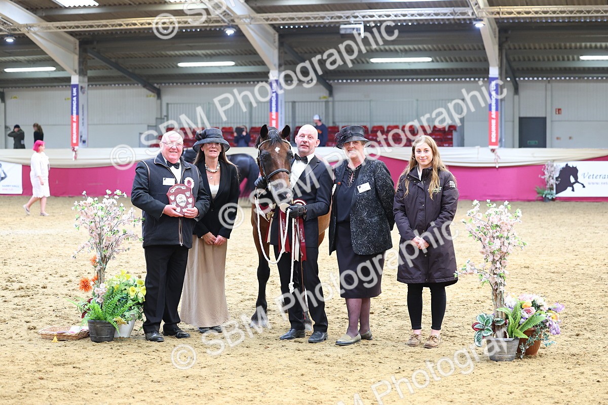 SBM_23017 - Class 903 - Supreme Final - IH Pre Vet