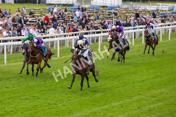 140624-Race 3-Alfa Kellenic-5599 - Race 3 3.00pm British EBF Supporting Racing With Pride Fillies' Handicap