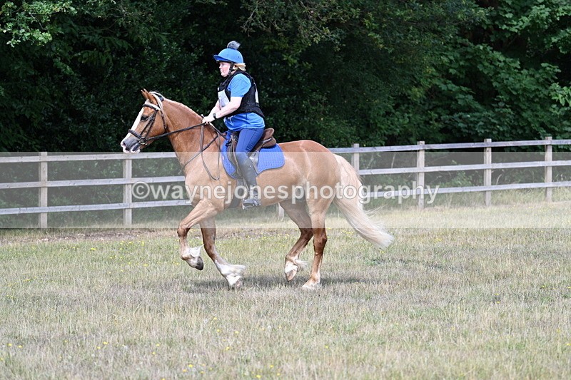 WJ7_0615 - 40cm Time 12:10 to 12:20