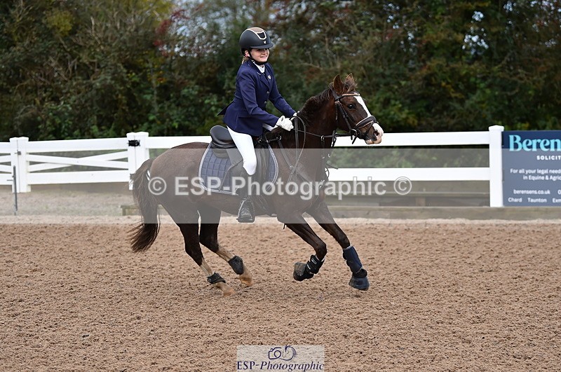 231029A-103650-02348 - 70cm Pony Intro