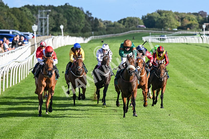 080926-Race 7-Military Girl-3312 - Race 7 5.21pm RMG Proudly Supports Teenage Cancer Trust Handicap