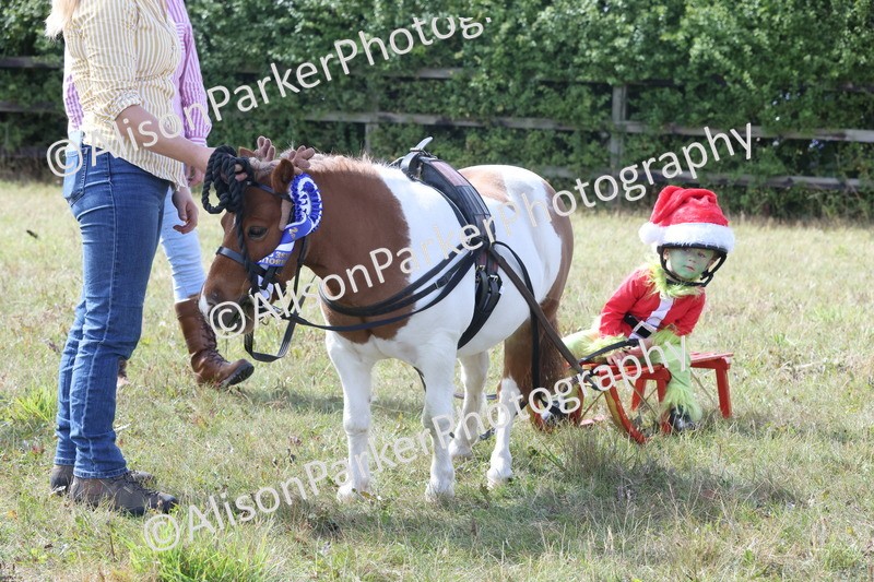 20250831-4472 - Class 26 - Fancy Dress