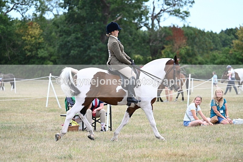WJ7_4902 - Class 12 Ridden Cob