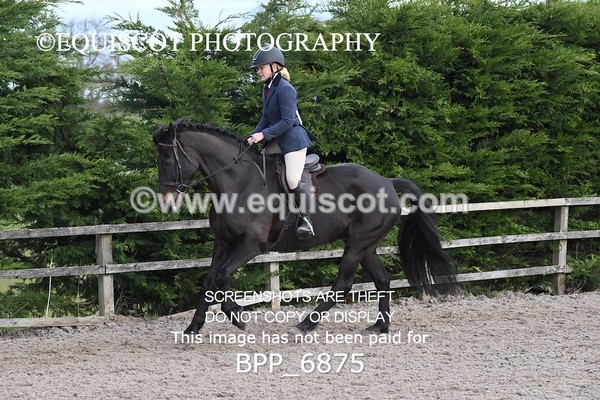 BPP_6875 - RING 1  (RIDDEN HORSES / IN HAND / VETERAN ETC)