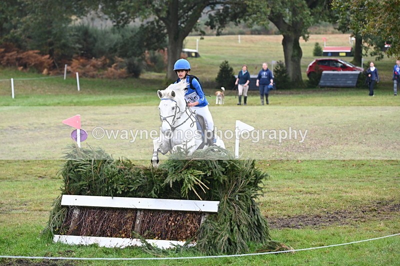 WJ6_2338 - 80cm Cam 1 Time 11:23 to 12:04