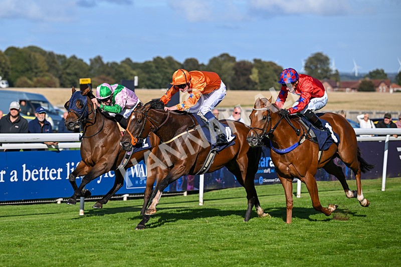 230925-Race 4-Elegant Erin-0677 - Race 4