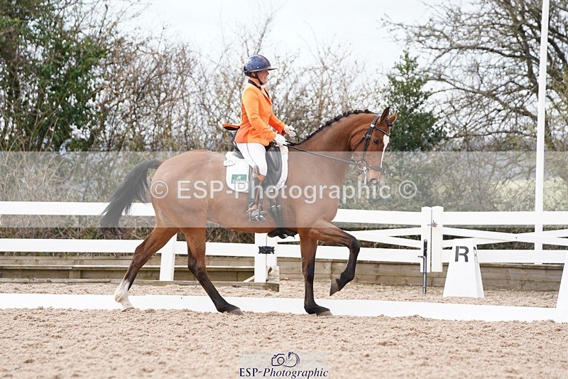 250322-131056-00459 - DR Elementary 2 Test