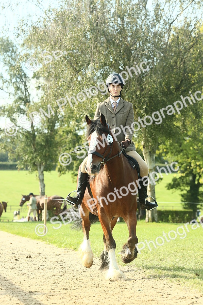 SBM_59940 - S38 - Starters Ridden Showing