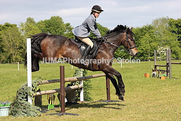 IMG_4773 - Working Hunter