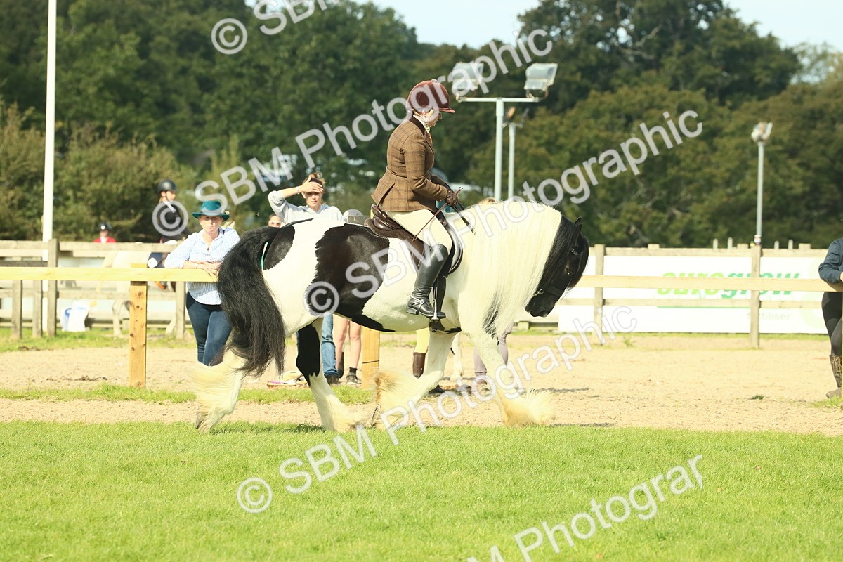 SBM_68780 - S58 - Mini Show Cob Ridden