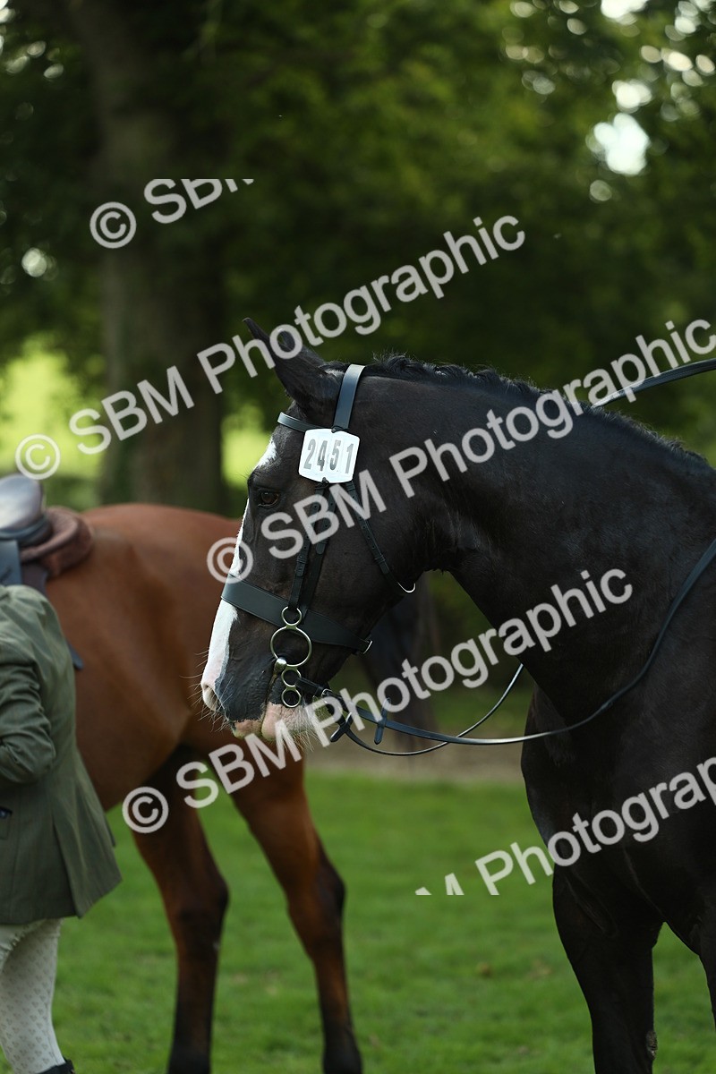 SBM_50718 - S33 - Working Hunter & Working Show Horse