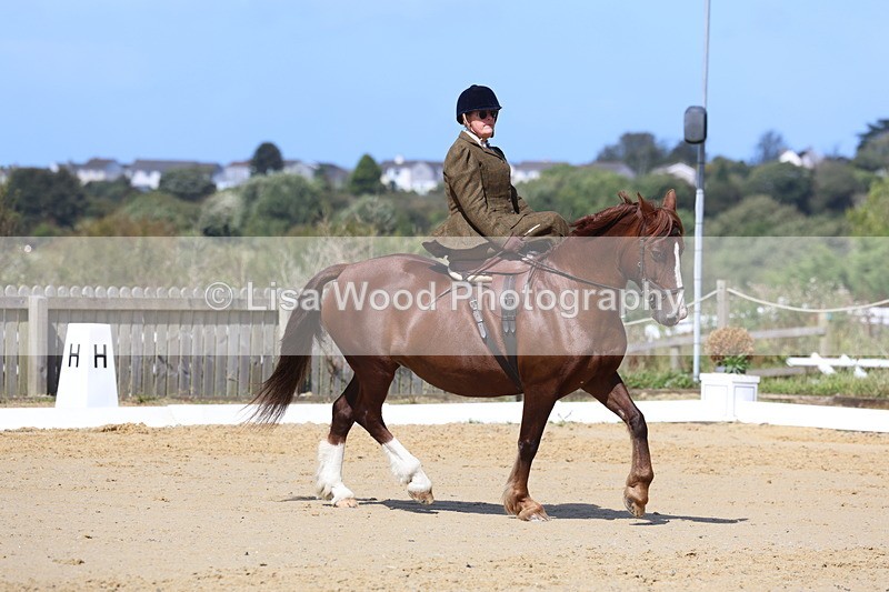 3E7A3559 - Class 7:  Preliminary Music