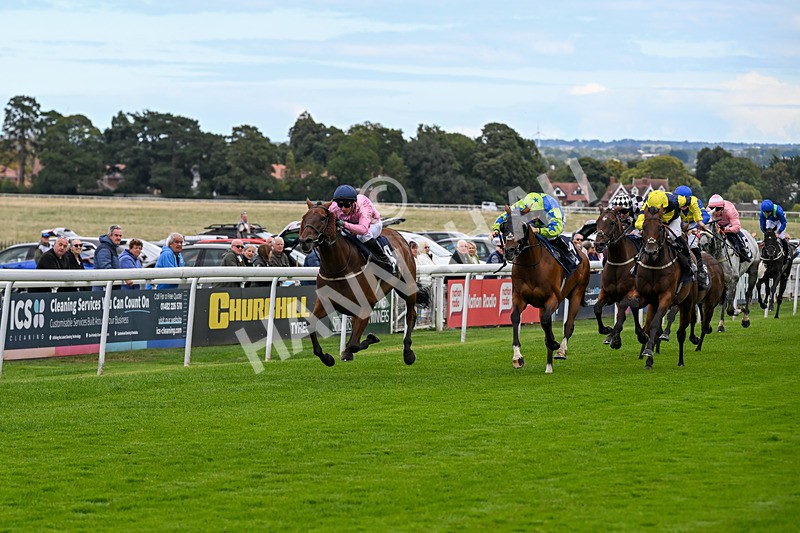 160926-Race 1-Austrian Theory-9143 - Race 1 2.08pm Season Finale Is Next Tuesday Selling Handicap