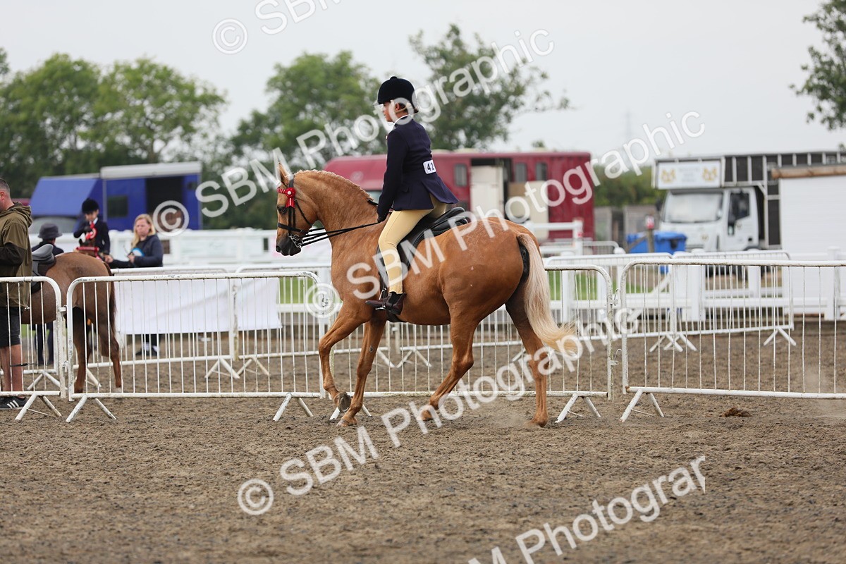 SBM_22338 - Class 807 - Young Rider 11 to 16 Yrs