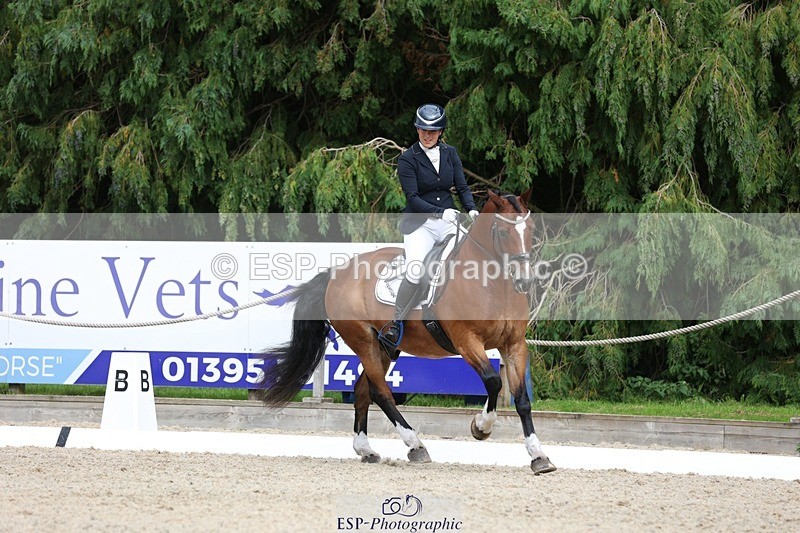 230812-151155-05072 - Cls 5 Novice Bronze 15.00 to End