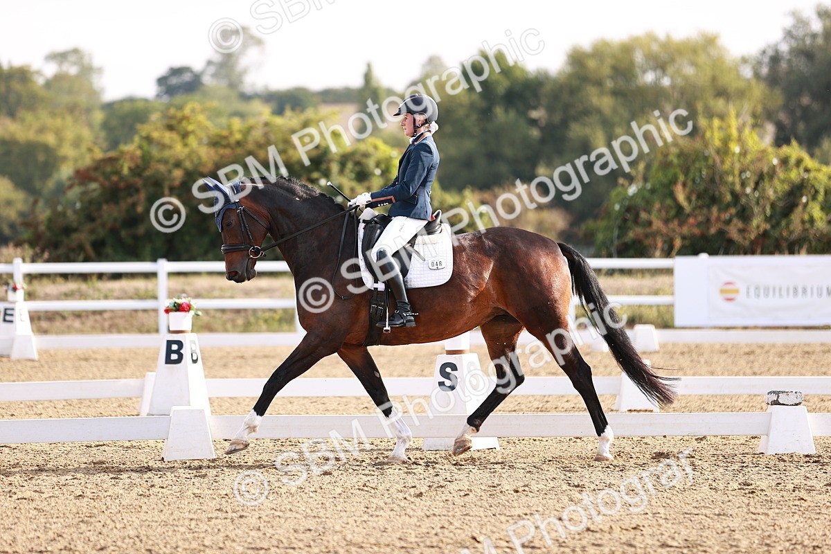 SBM_016841 - Class 10 - Medium 6