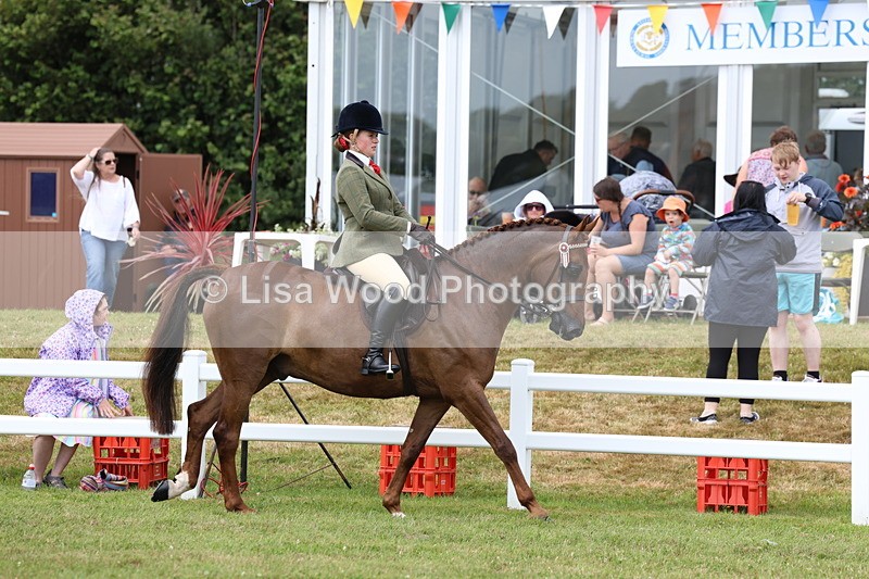 3E7A0802 - Class 8: Open Riding Horse/Hack