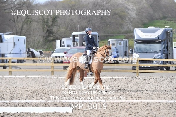 BPP_0019 - MY QUEST NOVICE 2